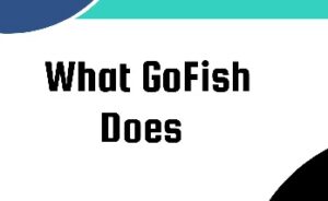 Read more about the article What is GoFish